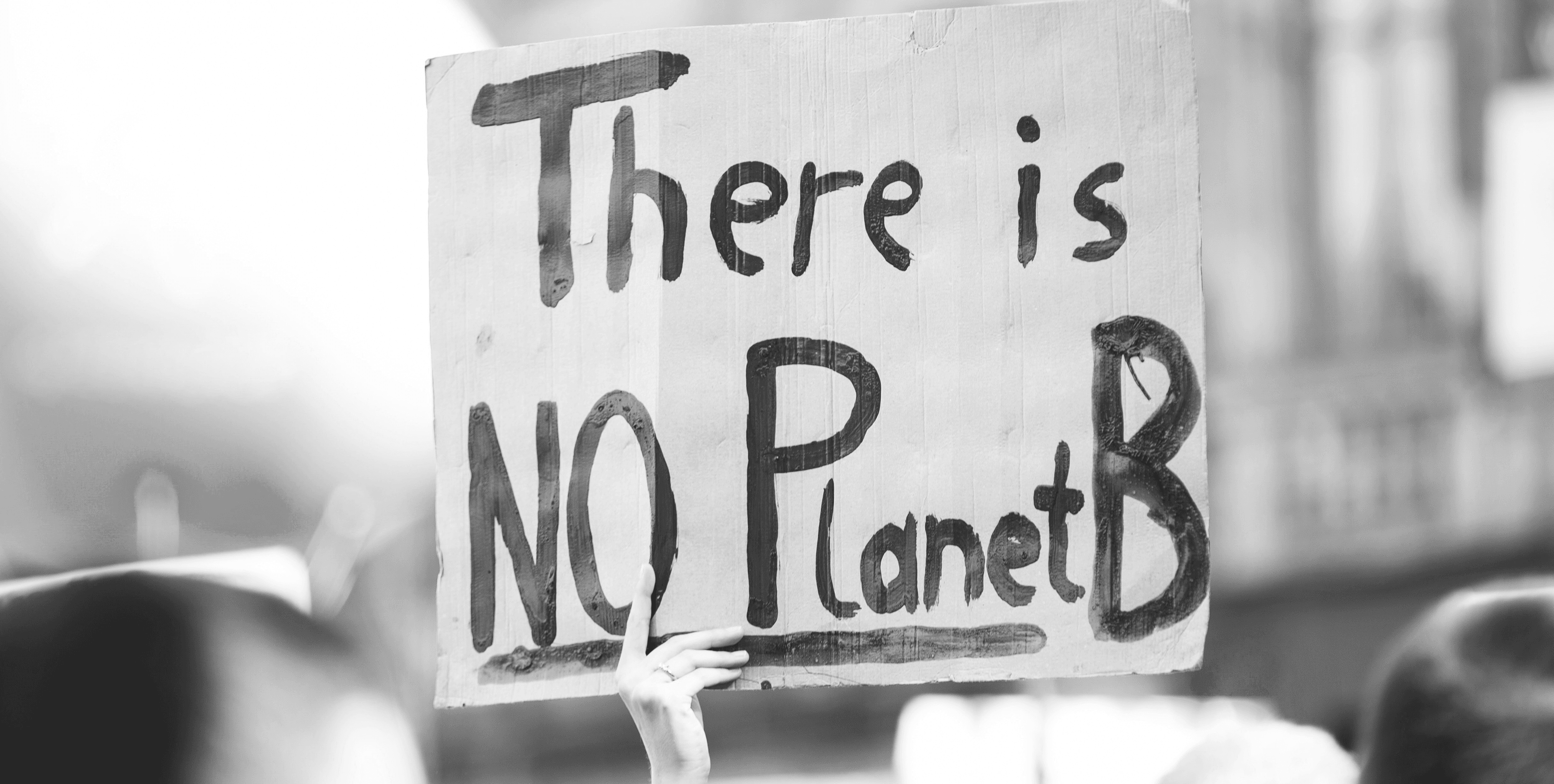 Eine Hand hält ein Plakat mit der Auschrift „There is no Planet B